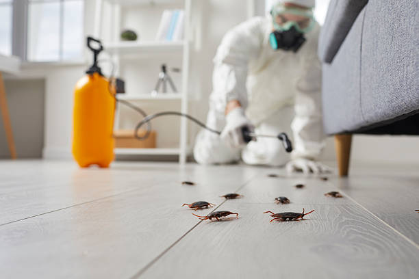 Commercial Rodent Management in Ontario
